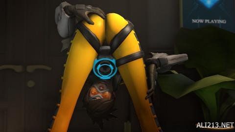 的是他的 的是他的