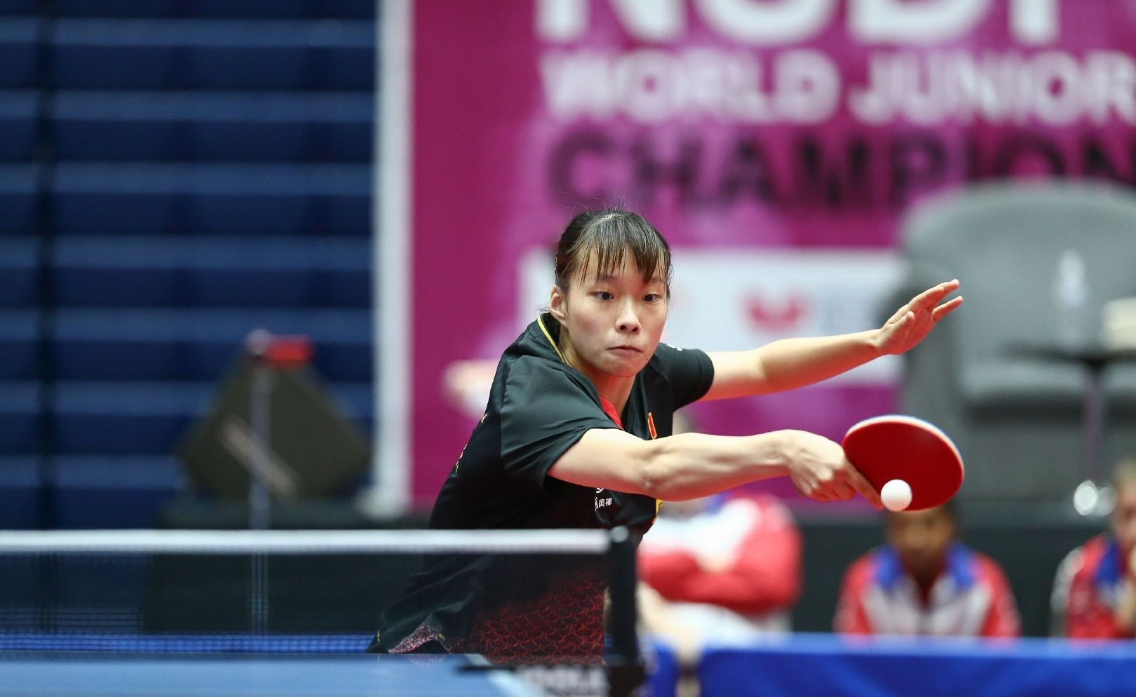 输者则需迅 输者则需迅